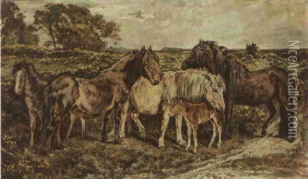 Ponies On A Moor Oil Painting - John Emms