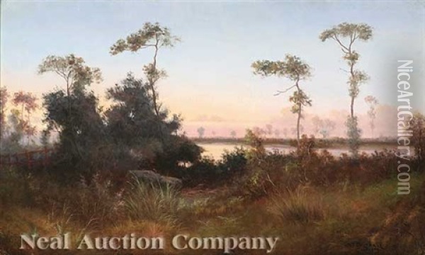 Dawn Along The Bayou Oil Painting - Alexander John Drysdale