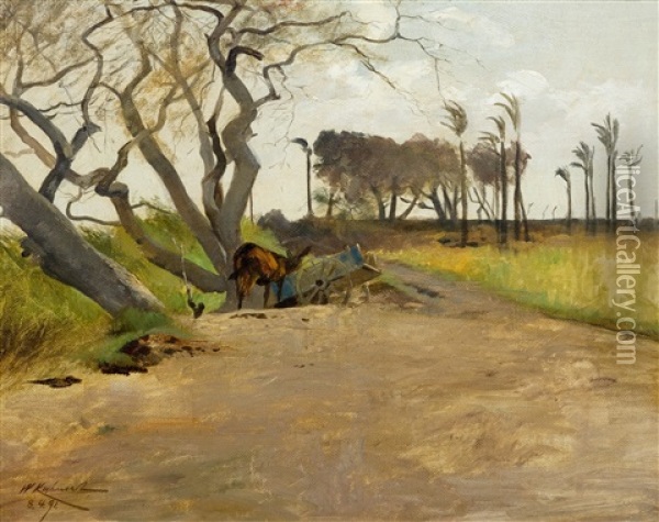 Landscape In East Africa Oil Painting - Wilhelm Friedrich Kuhnert