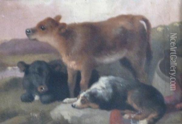 Calves And A Collie Oil Painting - George W. Horlor