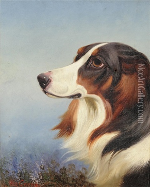 Head Study Of Collie Beside Heather Oil Painting - Colin Graeme