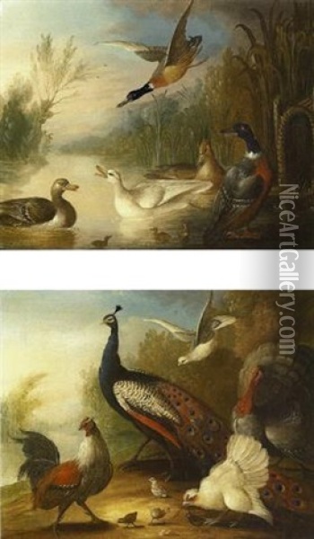 Ducks On A River Oil Painting - Marmaduke Cradock
