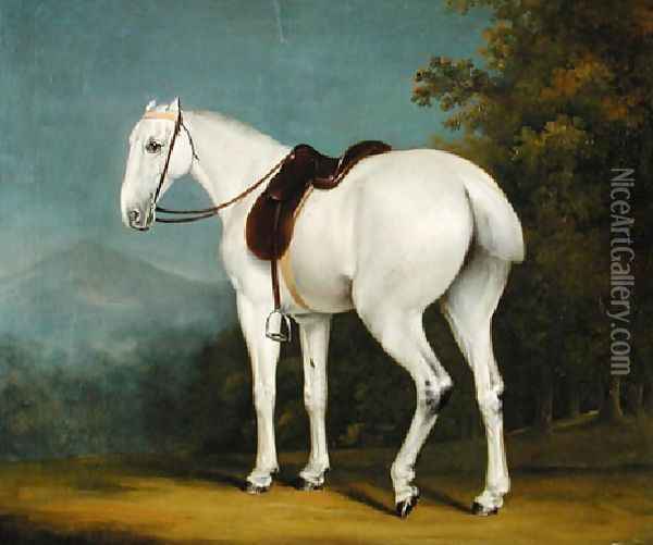 A Ladys Grey Hunter Oil Painting - Jacques Laurent Agasse
