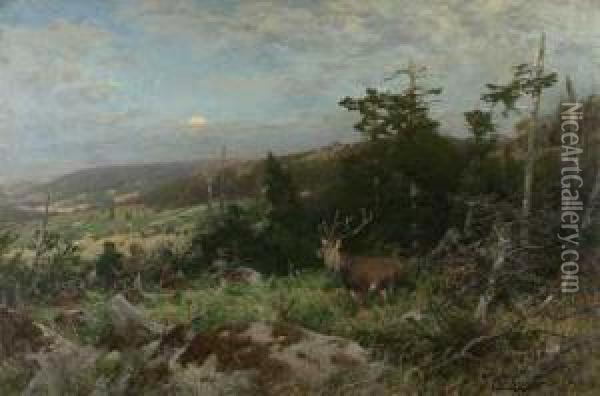 Rothirsch In Weiter Sommerlandschaft Oil Painting - Christian Johann Kroner