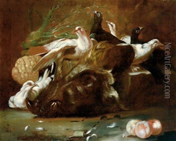 Natura Morta Con Uccelli E La Testa Di Un Cinghiale Oil Painting - Jacob van der Kerckhoven