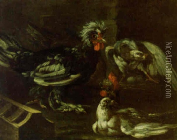 Pigeons And Poultry In A Yard Oil Painting - Felice Boselli