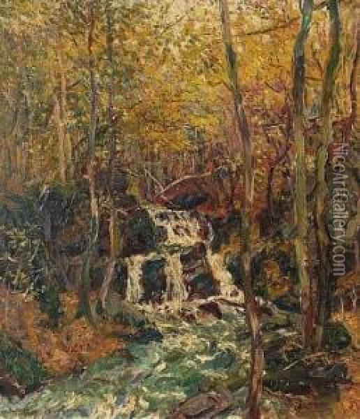 Waldlandschaft Mit Kleinem Wasserfall. Oil Painting - Peter Paul Muller-Werlau