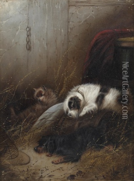 Terriers In An Interior; Terriers Sleeping In A Barn (pair) Oil Painting - George Armfield