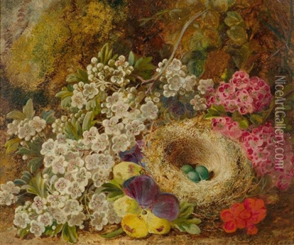 Stilleben Mit Vogelnest Oil Painting - George Clare