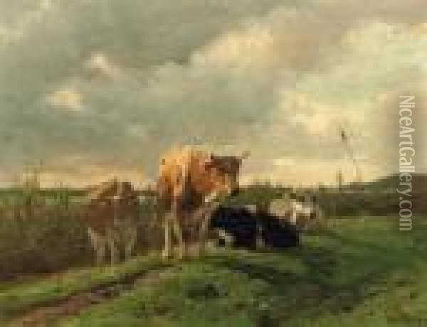 Cattle Resting Oil Painting - Anton Mauve