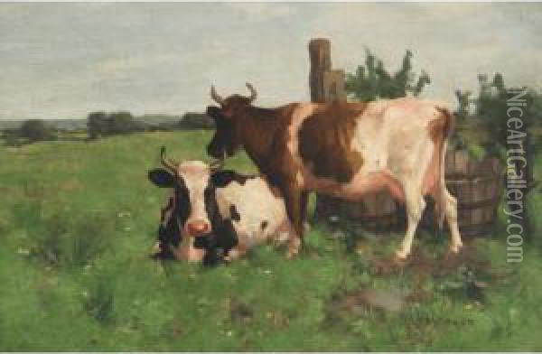 Cows In A Meadow Oil Painting - David Gauld