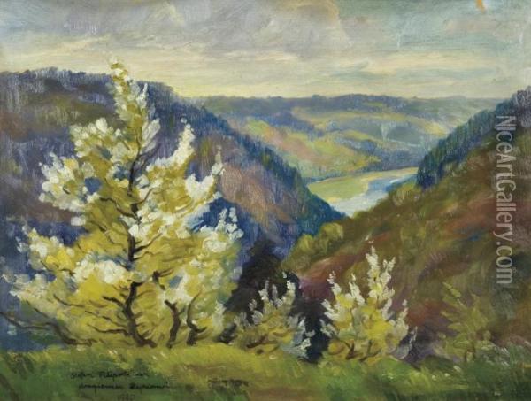 River Valley Landscape Oil Painting - Stefan Filipkiewicz