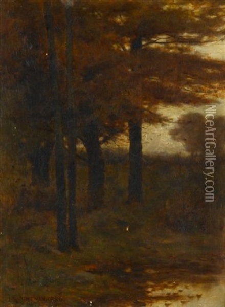 Forest At Dusk Oil Painting - Leonard Ochtman