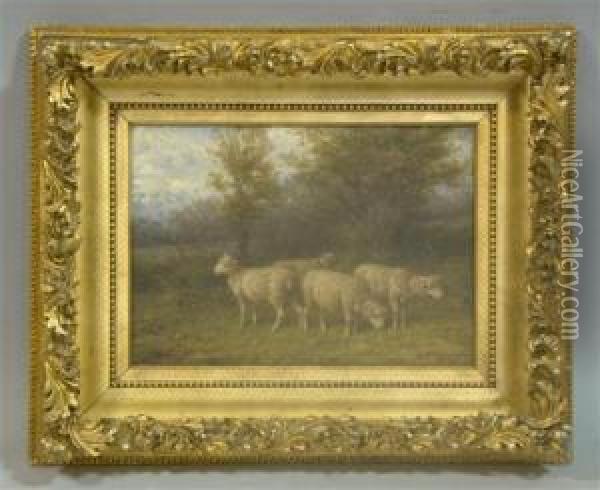 Sheep Oil Painting - George A.E., Geo Riecke
