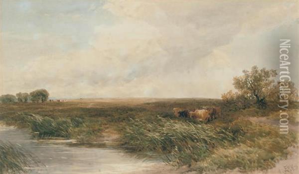 Cows Grazing By A Stream Oil Painting - Edmund Morison Wimperis