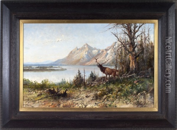 Western Mountain Lake With Elk Oil Painting - John Fery