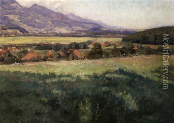 Sommerliche Feldlanschaft Mit Bauernhausern Oil Painting - Alfred Marxer