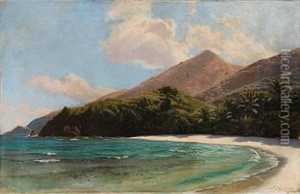 Scene From The Virgin Islands Oil Painting - Andreas Christian Riis Carstensen