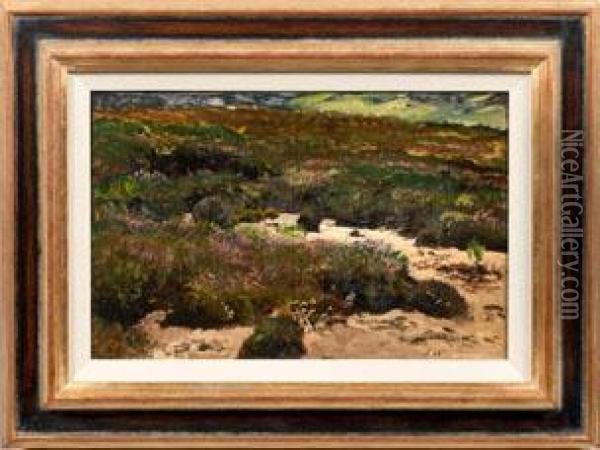 Landschaftsstudie Mit Bluhender Heide Oil Painting - Joseph Wenglein