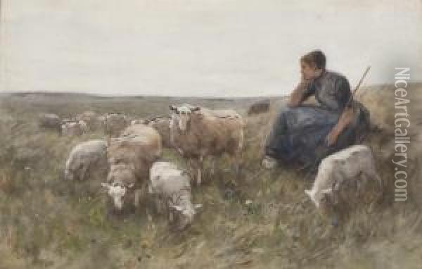 A Shepherdess With Her Flock Oil Painting - Willem Steelink
