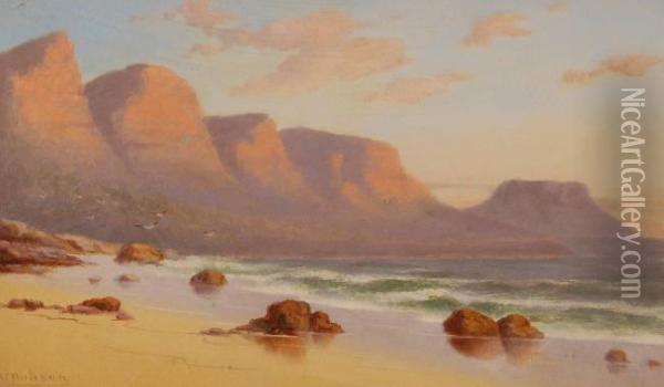 Coastal View Near Capetown Oil Painting - William Charles Thomas Dobson