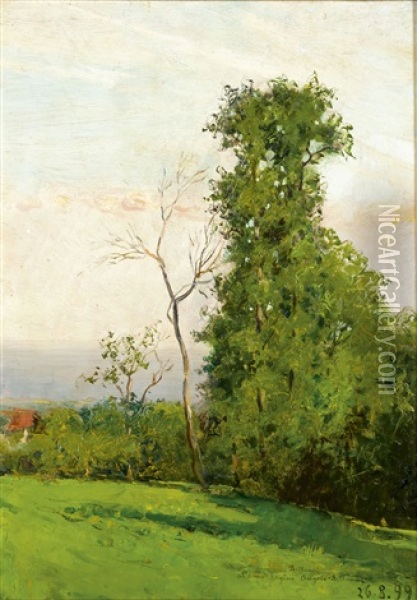 Verde Pianoro Oil Painting - Lorenzo Delleani