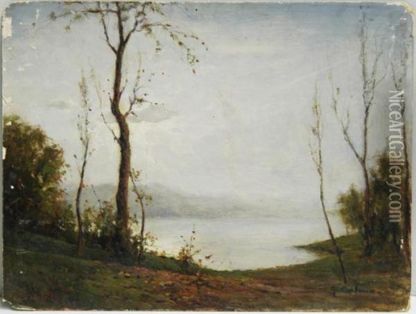 Scorcio Di Lago Oil Painting - Giovanni Colmo
