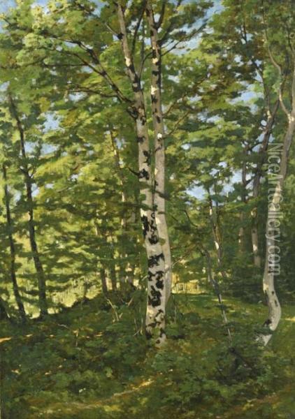 Birkenwald. Oil Painting - Henri-Joseph Harpignies