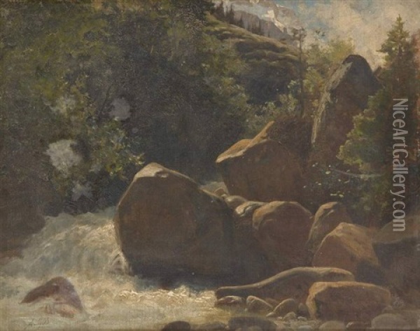 Cascade Dans Le Valais Oil Painting - Albert Henri John Gos