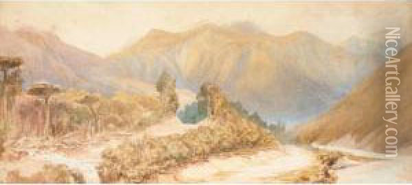 Rakaia Gorge; Road To Otira Gorge Oil Painting - Edwyn Temple