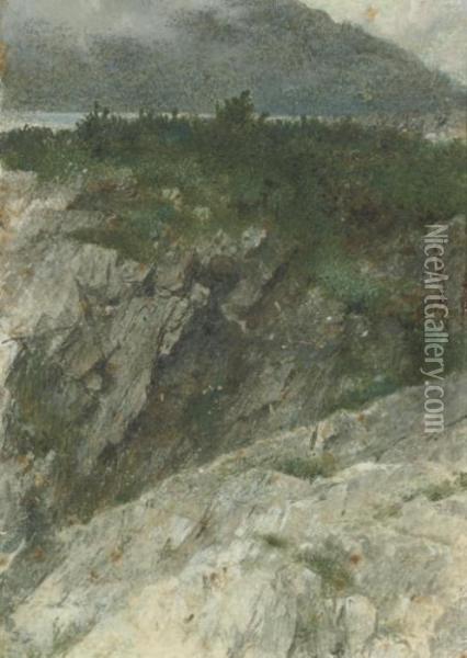 Study Of A Rocky Promontory In The Highlands Oil Painting - Thomas Faed