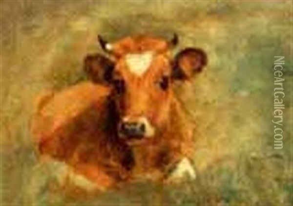 Portrait Of A Recumbent Cow Oil Painting - Charles Franklin Pierce