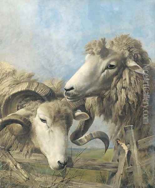 Heads of a sheep and a ram Oil Painting - Thomas Sidney Cooper