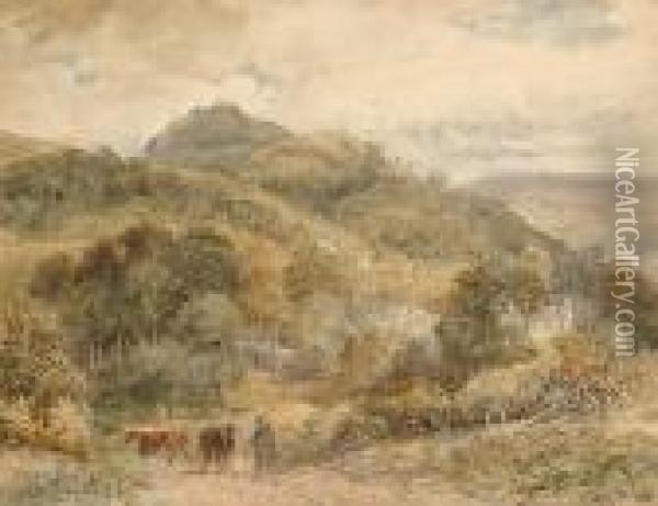 Drover With Cattle In A Country Lane Oil Painting - David Cox