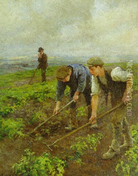 Hoeing Above Mounts Bay Oil Painting - Harold Harvey