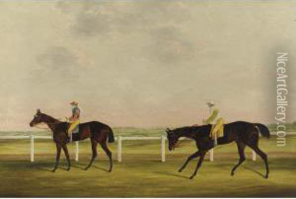 Colonel King's 'bessie Bedlam' 
Ridden By T. Lye And Mr. Golden's 'robin Hood' 
Ridden By J. Spragson Exercising On Lincoln 
Racecourse Oil Painting - Samuel Spode