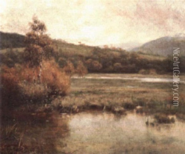 Marsh In Autumn Oil Painting - Parker Hagarty