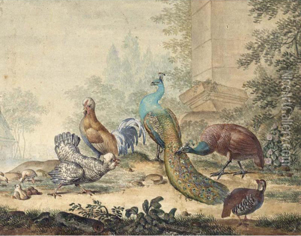 A Peacock And Peahen With Other Fowl In A Yard Oil Painting - Jabez Heenck