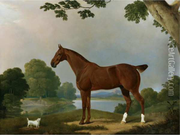 Aconbury, A Hunter, And Coaxer, A Terrier, In A Landscape Oil Painting - James Barenger