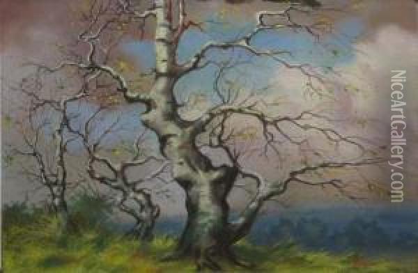 Copaci Desfrunziti Oil Painting - Misu Teisanu