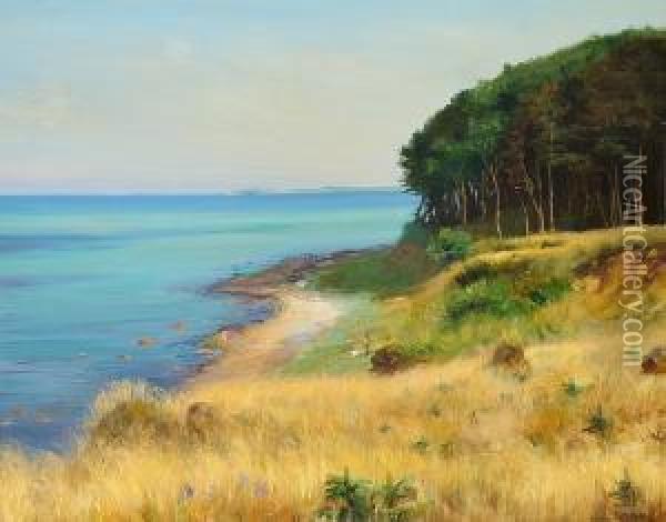 Summer's Day Near The Coast Line Of Als, In The Background AEro Oil Painting - Agnes Slott-Mrller