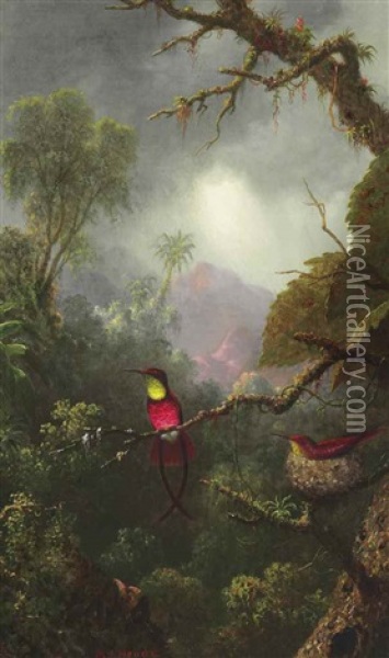 Nesting Hummingbirds, Brazilian Landscape Oil Painting - Martin Johnson Heade