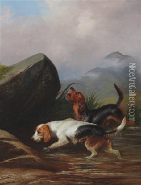 Dog Baying Oil Painting - Colin Graeme