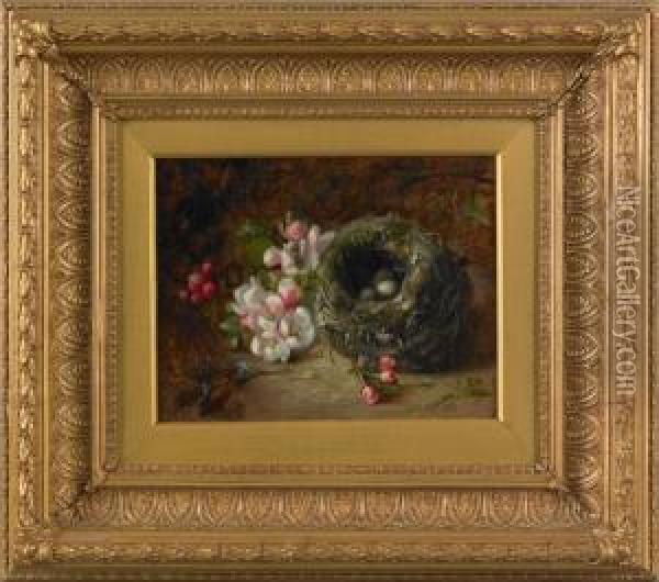 Bird Nest And Flowers Oil Painting - Edward George Handel Lucas
