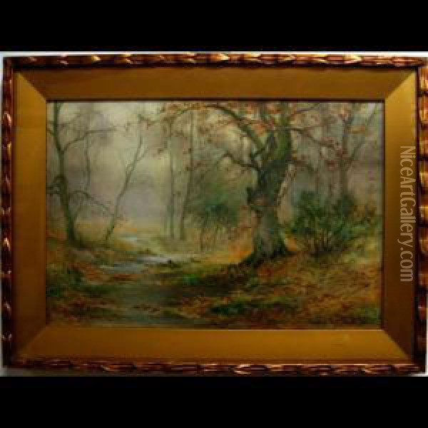 Woodland Study Oil Painting - Thomas Tayler Ireland