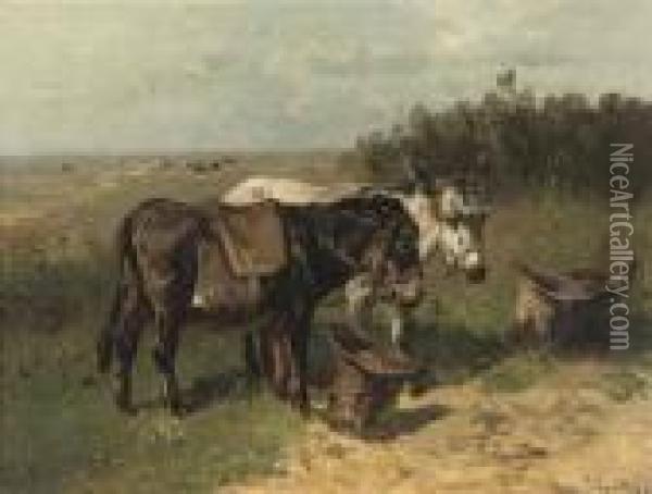 Donkeys In A Field Oil Painting - Henry Schouten