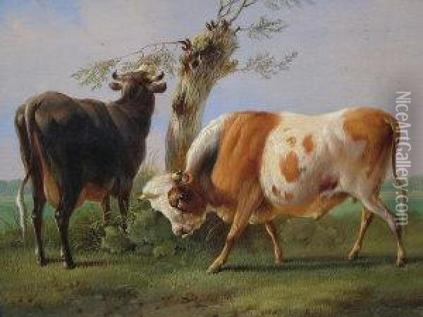 A Bull And A Cow In A Paddock And Feeding From Atree Oil Painting - Albertus Verhoesen