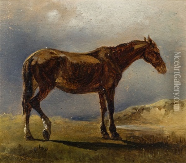 Pferd, Naturstudie Oil Painting - Friedrich Gauermann