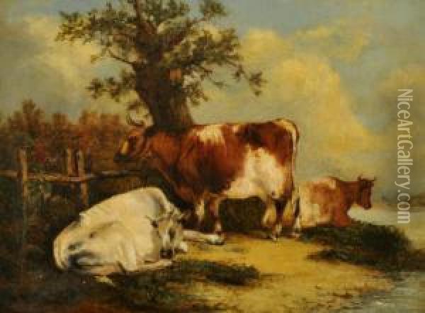 Cattle By A Wooden Fence Oil Painting - Charles Waller Shayer