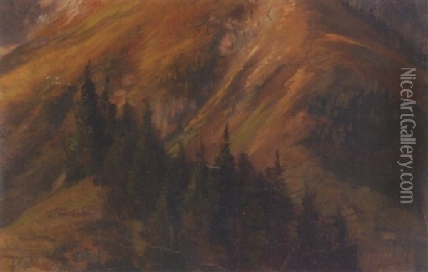 Bewaldeter Berghang Oil Painting - Franz Xaver von Pausinger